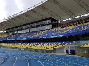 Estadio Ester Roa