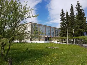 Temp