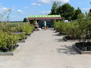 Babtų Medelynas