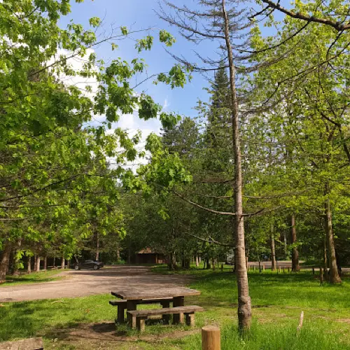 Bourne Wood Car Park