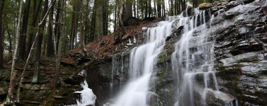 New Pocono Trust's Conservation