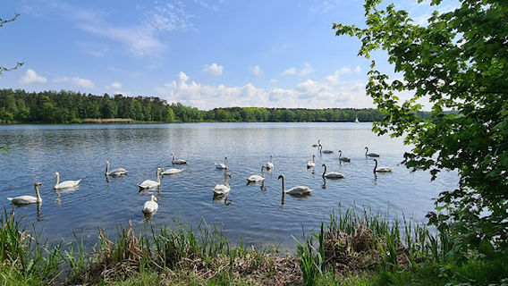 Erlangen