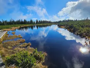 Lake Ribnica