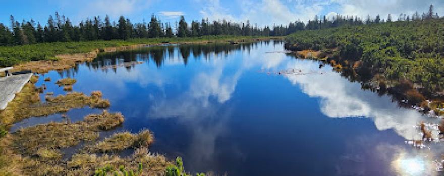 Lake Ribnica