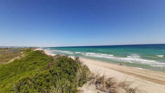 Regional Coastal Dunes Natural Park from Torre Canne to Torre San Leonardo