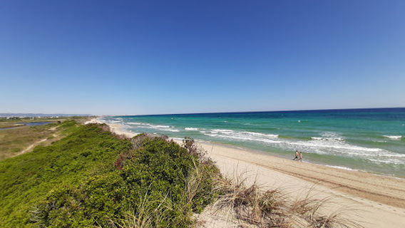Parco Naturale Regionale Dune Costiere da Torre Canne a Torre San Leonardo