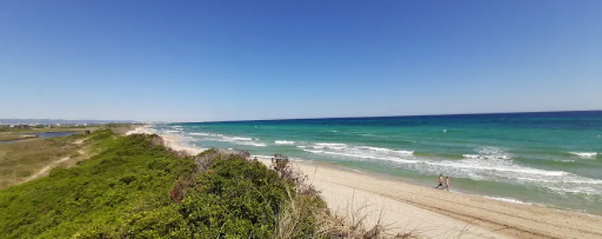 Regional Coastal Dunes Natural Park from Torre Canne to Torre San Leonardo