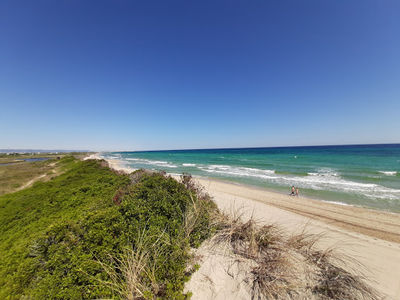 Regional Coastal Dunes Natural Park from Torre Canne to Torre San Leonardo