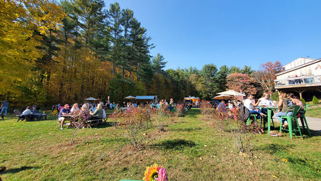 Agronomy Farm Vineyard