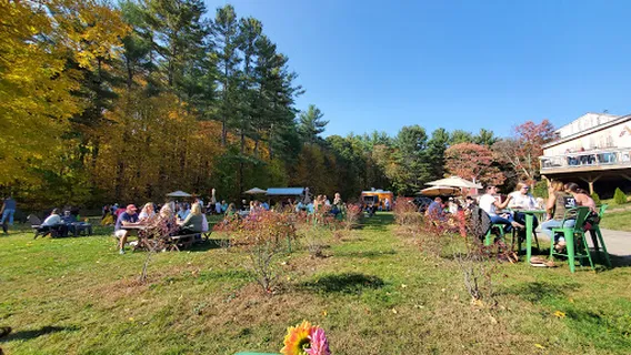 Agronomy Farm Vineyard