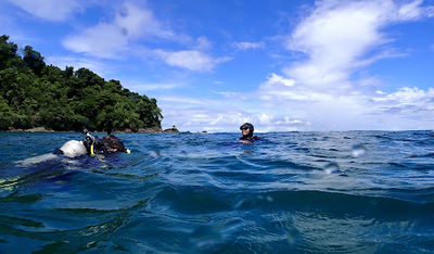 Costa Rica Dive and Surf