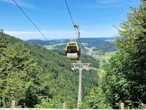 Foundation cableway Reigoldswil-Wasserfallen LRW