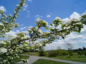 Jim Dietrich Park