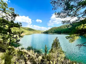 Presa de Chincha