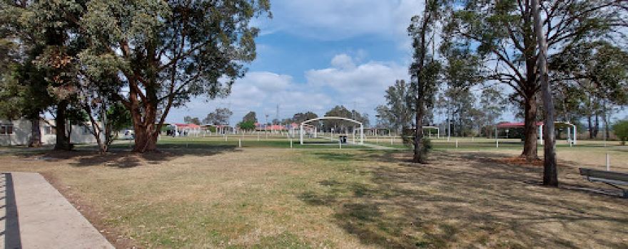 Bill Spilstead Complex for Canine Affairs