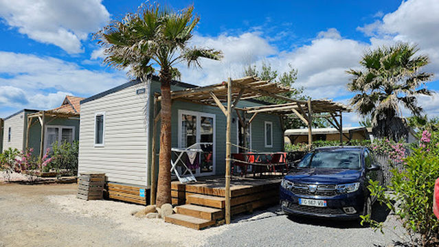 Flower Camping Robinson