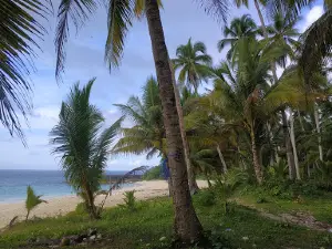 Mandel Beach