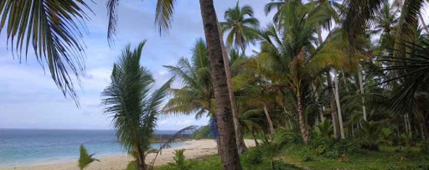 Mandel Beach