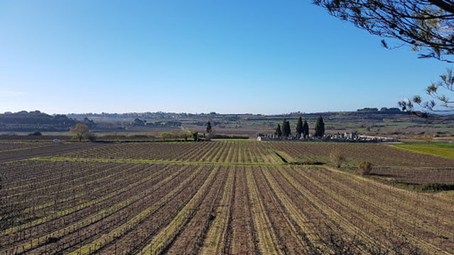 St. Joseph of Mont-Rouge