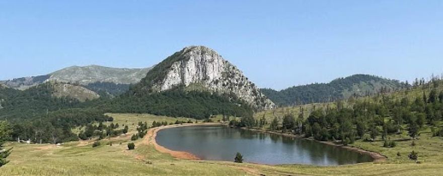 Guri i Vashës