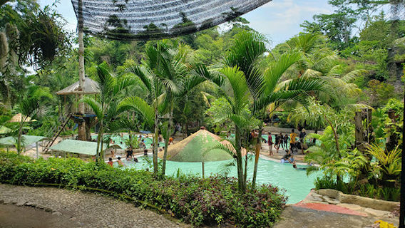 D'Gonggress