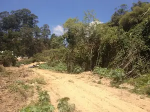 Colinas de Carrizal Park