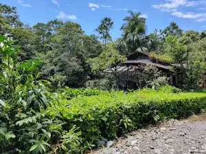 Treehouse