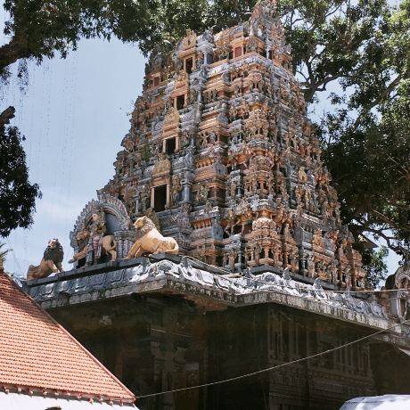 Karikkakom Sree Chamundi Temple