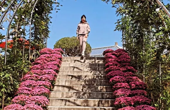 慶州鳥公園鳥園門票成人