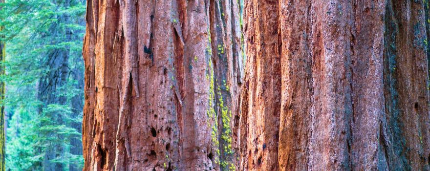 Calaveras County