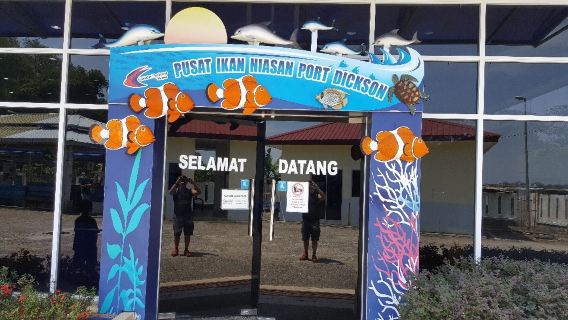 Port Dickson Ornamental Fish Centre