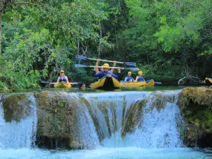 Eco Park Porto Da Ilha