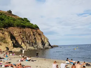 Le Sentier Sous-Marin de Cerbère-Banyuls