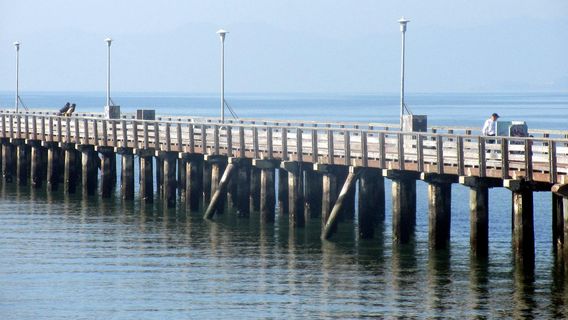 Мак-Лафлин Истшор Стейт Парк Стейт Сишор