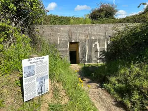 Maisy Battery