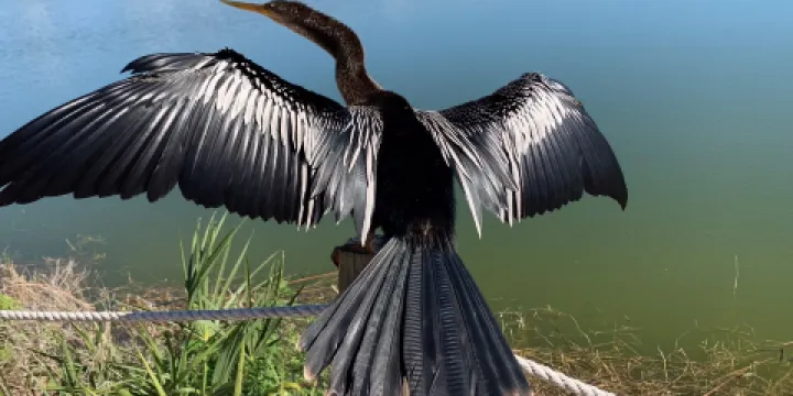 Sanibel-Captiva Conservation Foundation, Lindblad Preserve Trails