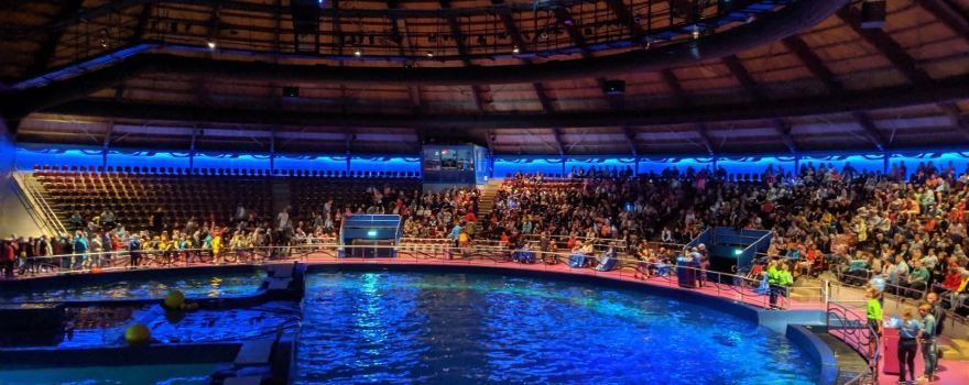 Dolfinarium