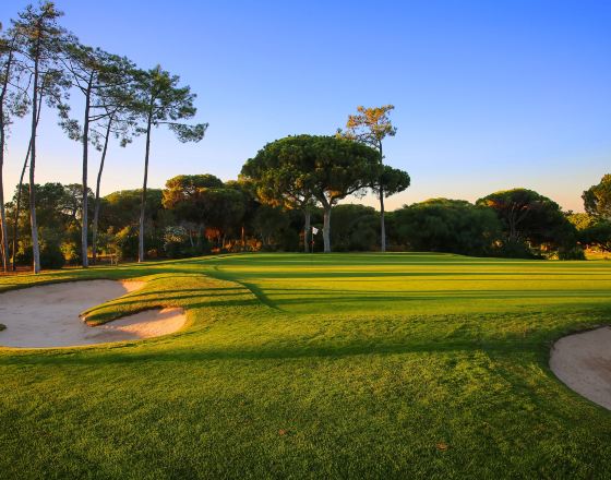 維拉摩拉 自由行套票