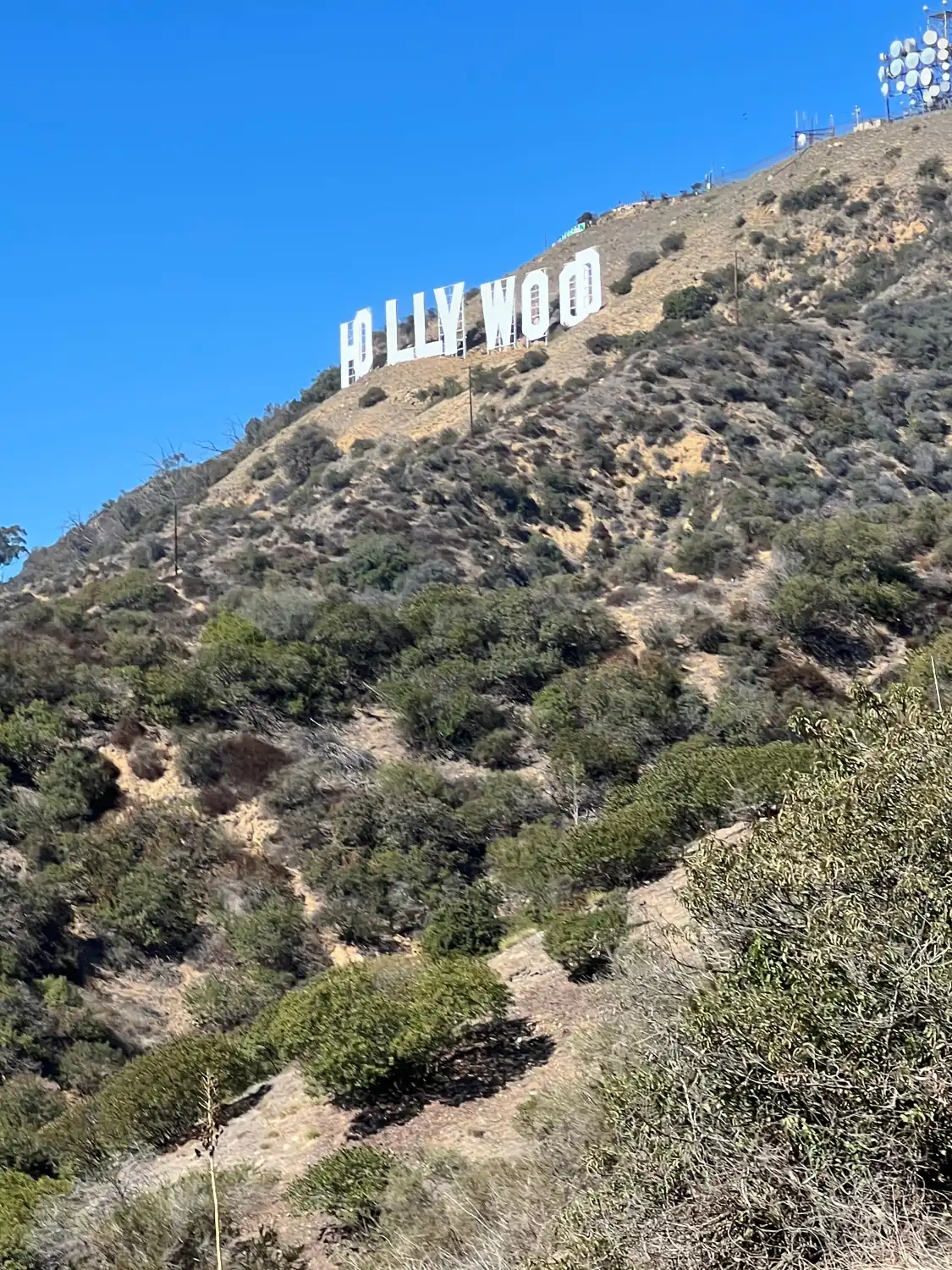 Hotels near Sunset Ranch Hollywood