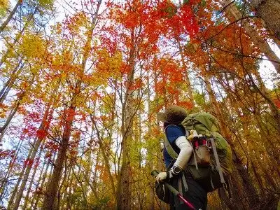 Hotels near Mt. Kentoku