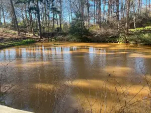South Carolina Botanical Gardens