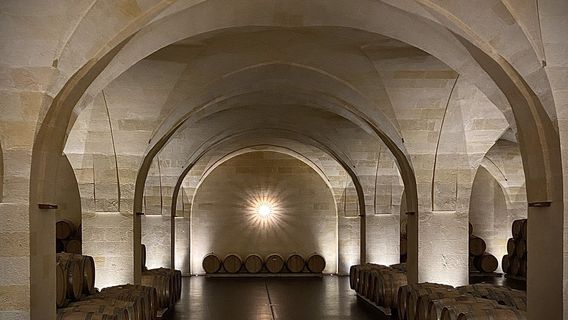 PATH walks, talks & beyond