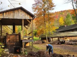Pennsylvania Lumber Museum