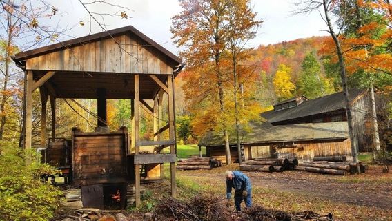 Pennsylvania Lumber Museum