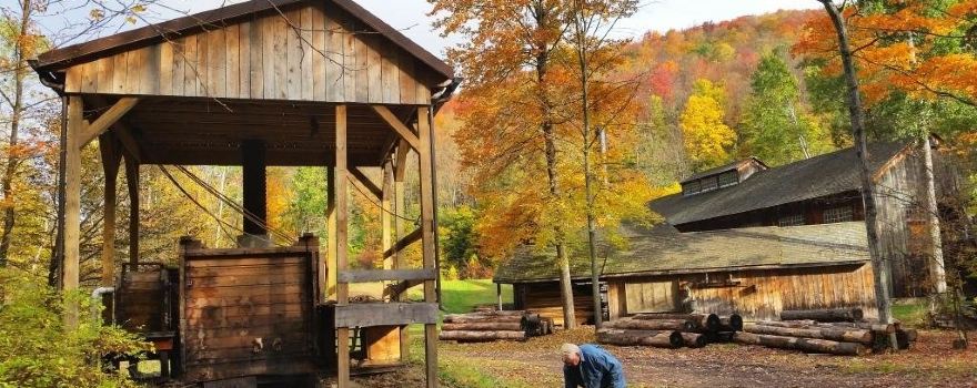 Pennsylvania Lumber Museum