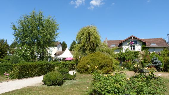 The Rose Garden of Provins