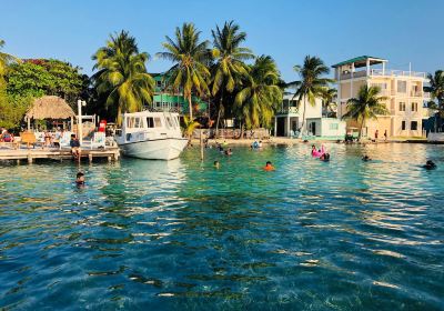 Caye Caulker
