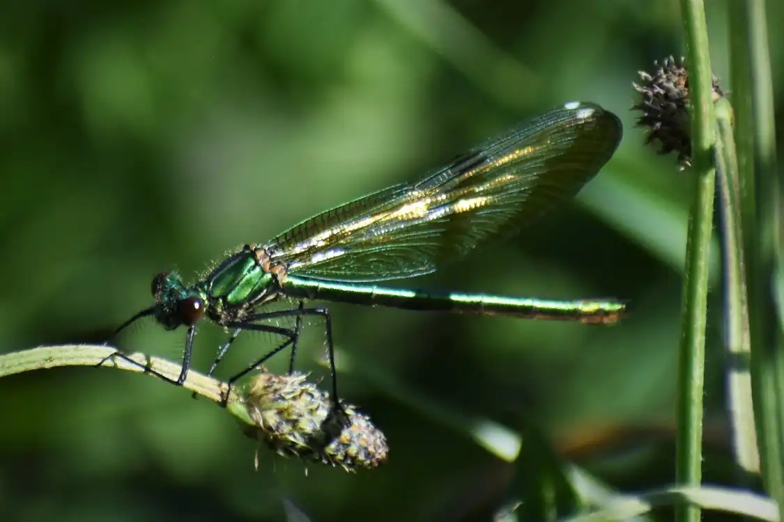 하운슬로 히스 주변 호텔