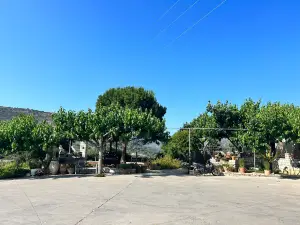 Paraschakis Olive Oil