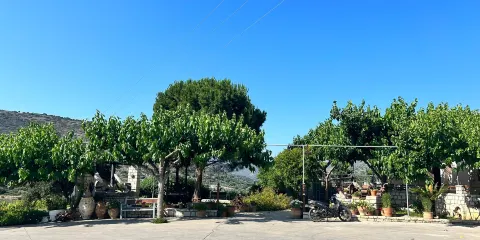 Paraschakis Olive Oil - Crete